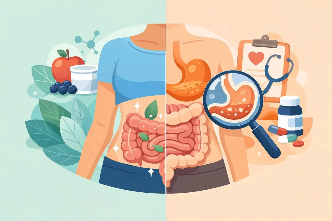 Gut Health vs Digestive Health Explained - Functional Drinks Club