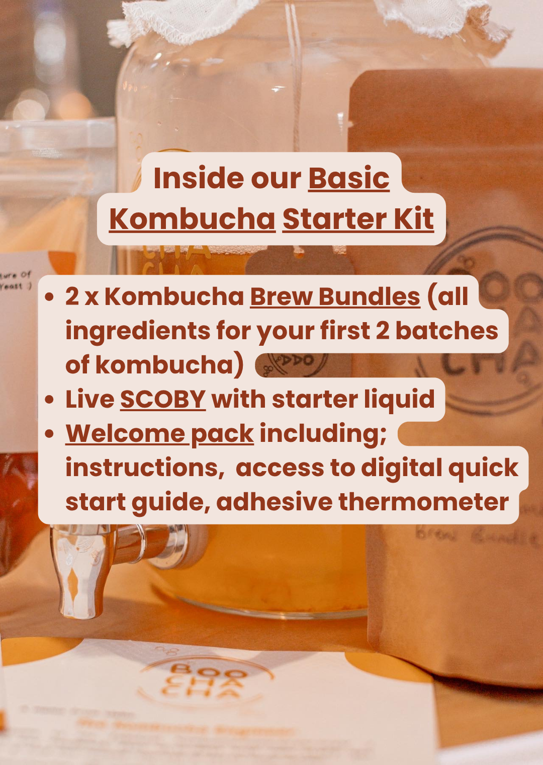 Kombucha starter kit with text detailing contents on a blurred background