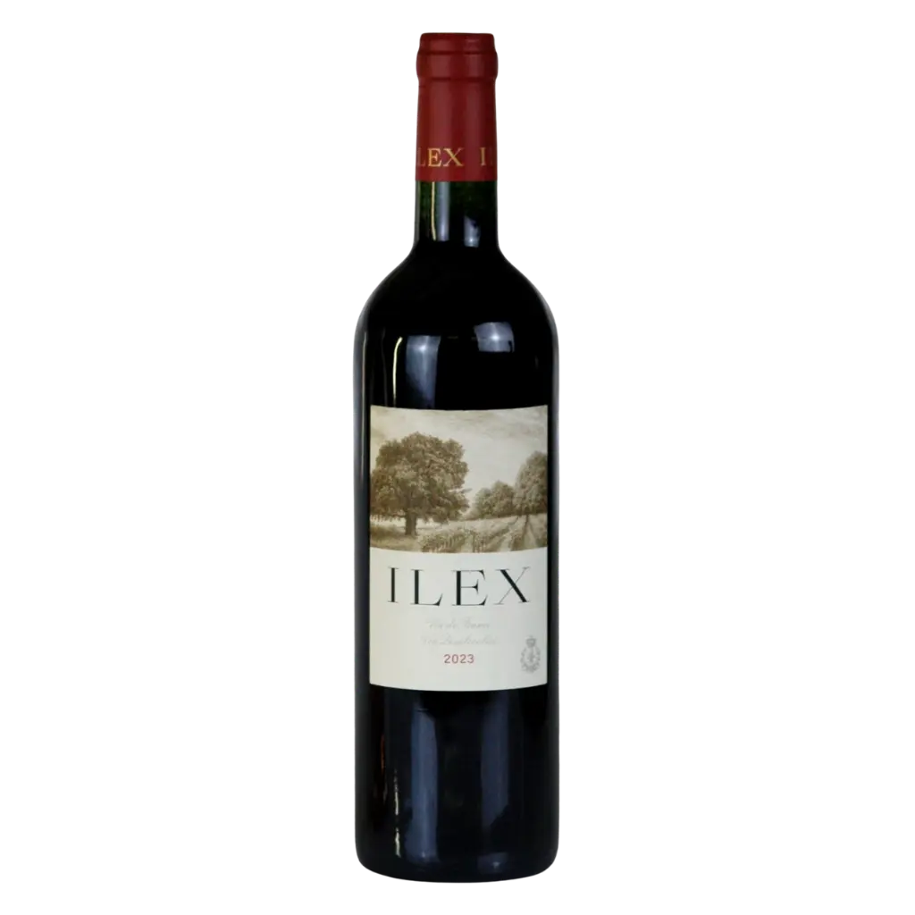 Premium bottle of alcohol free red wine from St Emillion at Functional Drinks Club in Otley.