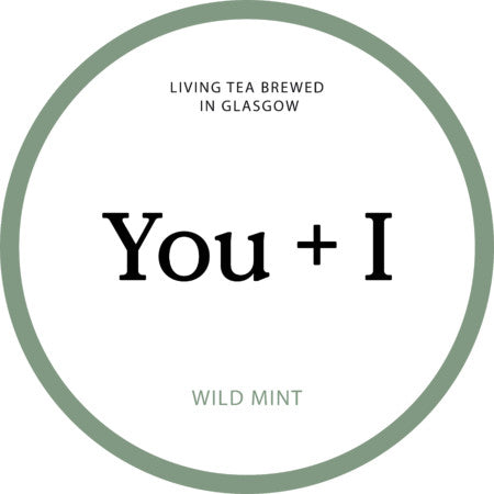 You + I Wild Mint Kombucha at Functional Drinks Club