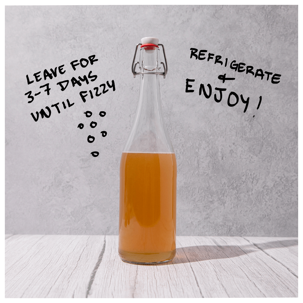 Big Blighty Baby Kombucha Starter Kit (to make 3L) - Functional Drinks Club