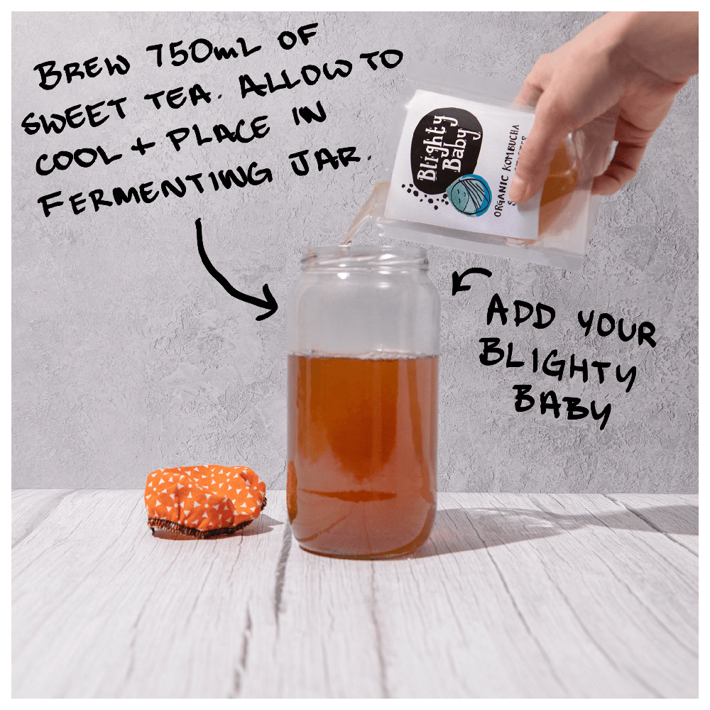 Big Blighty Baby Kombucha Starter Kit (to make 3L) - Functional Drinks Club