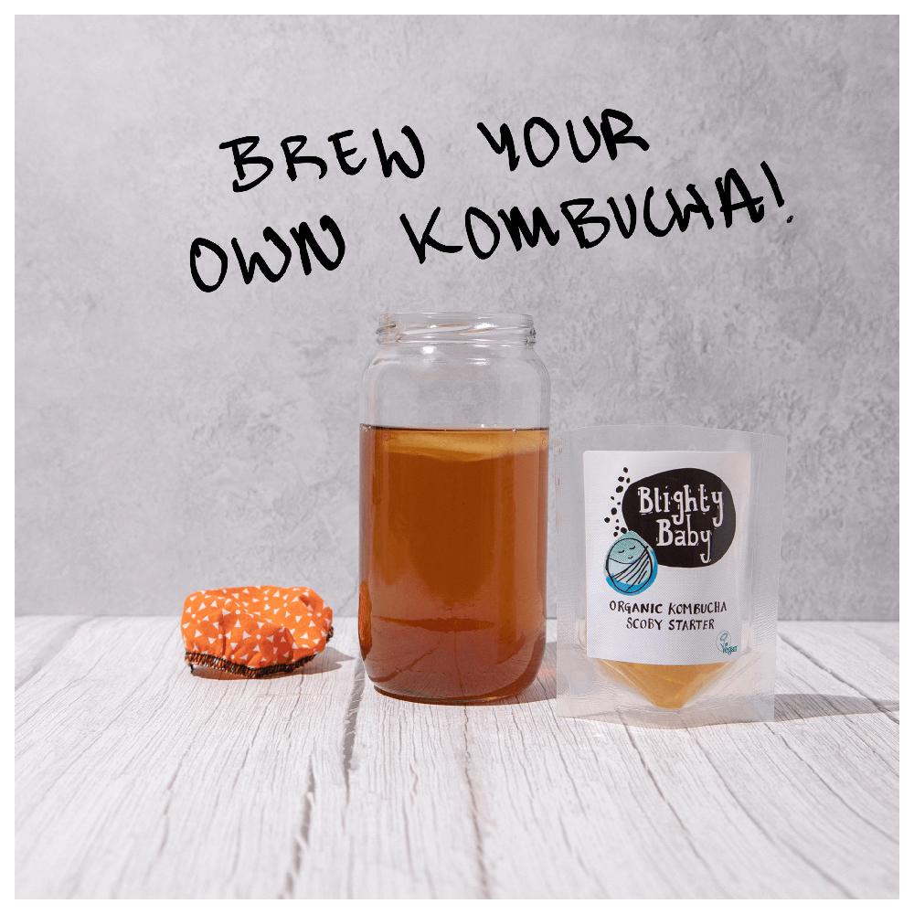 Big Blighty Baby Kombucha Starter Kit (to make 3L) - Functional Drinks Club