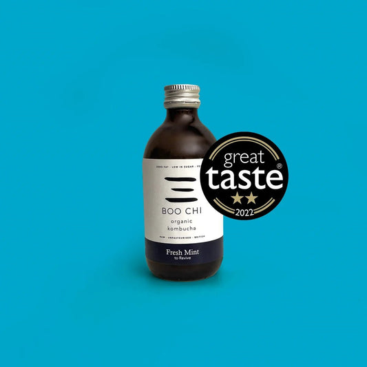 Boo Chi Fresh Mint Kombucha | 330ml - Functional Drinks Club