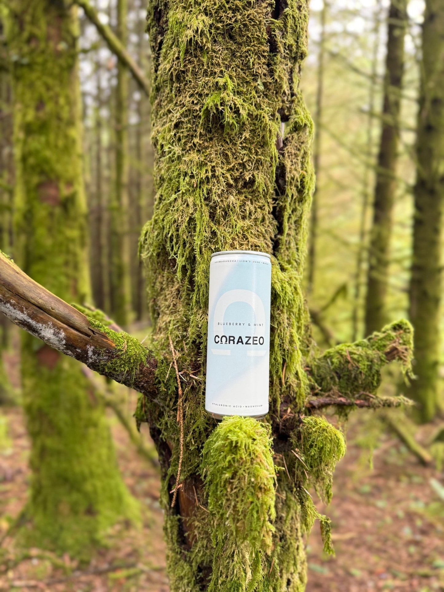 CORAZEO Blueberry & Mint – Calm Energy Superfood Drink (250ml) - Functional Drinks Club