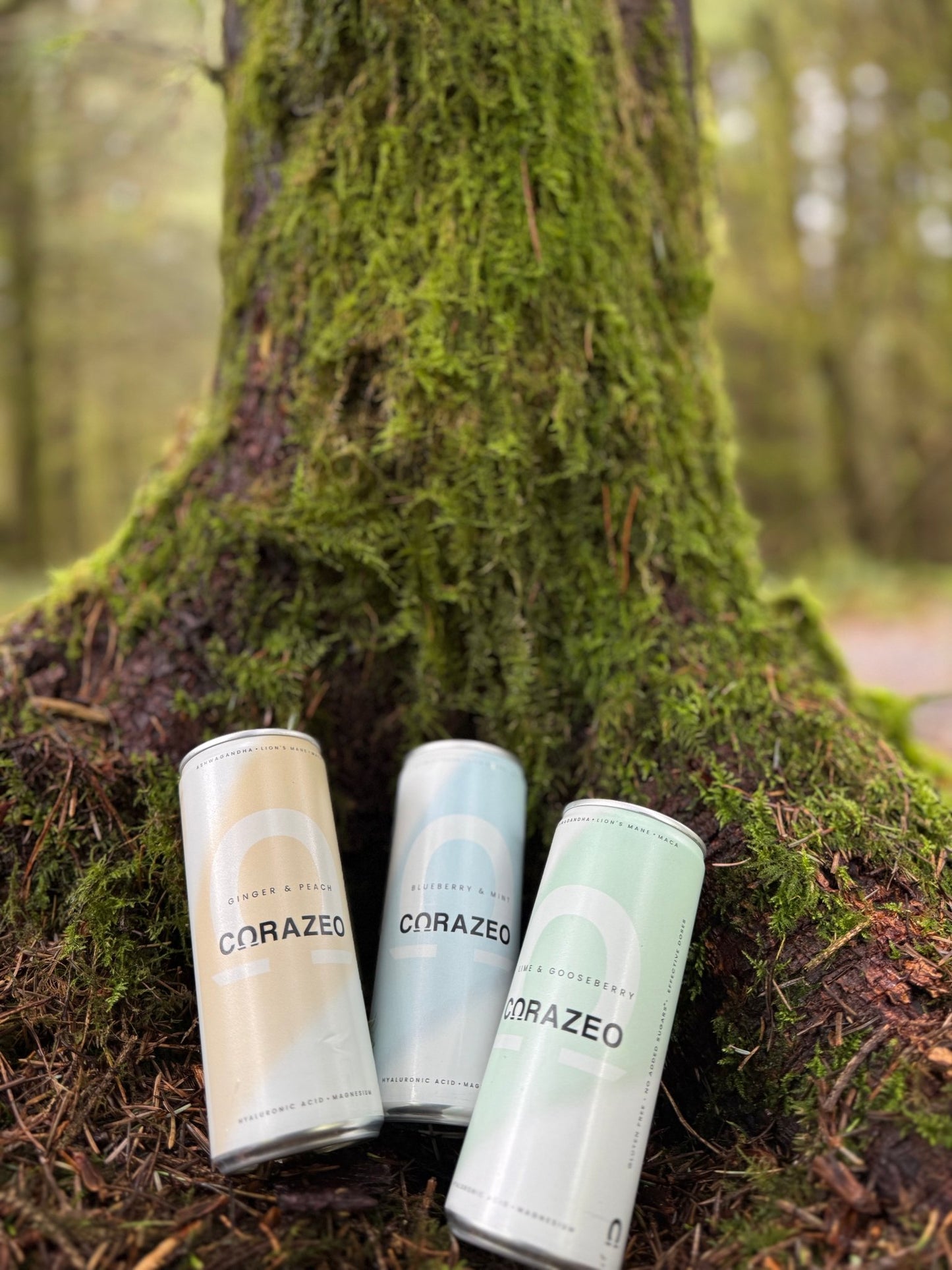 CORAZEO Variety Pack – Natural Calm Energy Drink - Functional Drinks Club