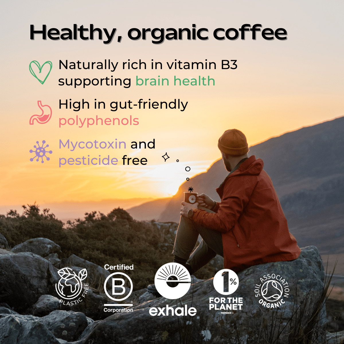 Exhale Organic House Roast – Clean, High - Antioxidant Healthy Coffee - Functional Drinks Club