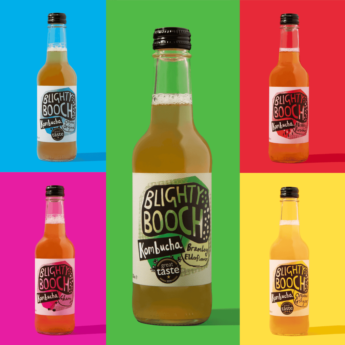Mixed Case of Blighty Booch Kombucha - Functional Drinks Club