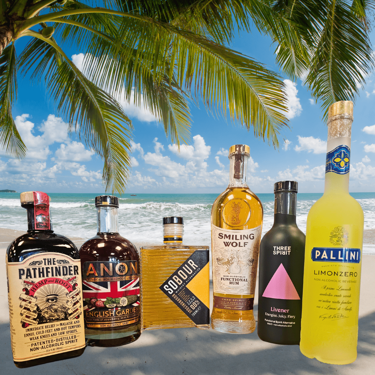 Non - Alcoholic Spirit Club Tasting Events - Functional Drinks Club