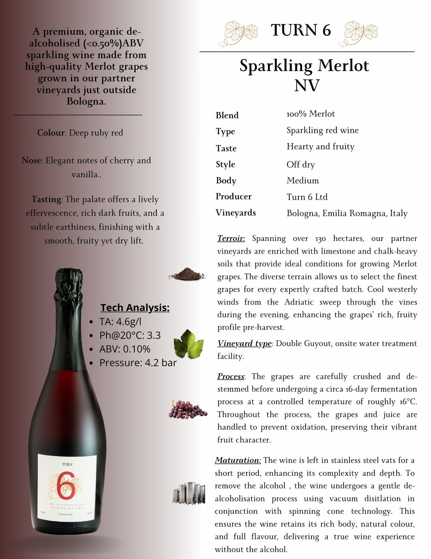 Sparkling Merlot NV wine label with technical analysis and description.