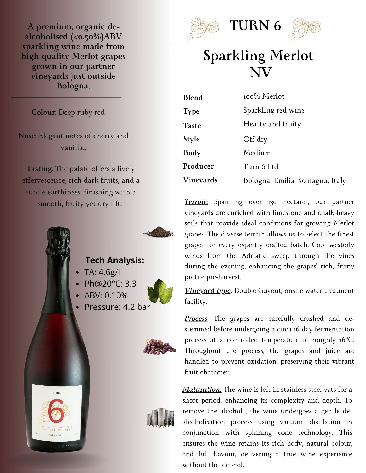 Sparkling Merlot NV wine label with technical analysis and description.
